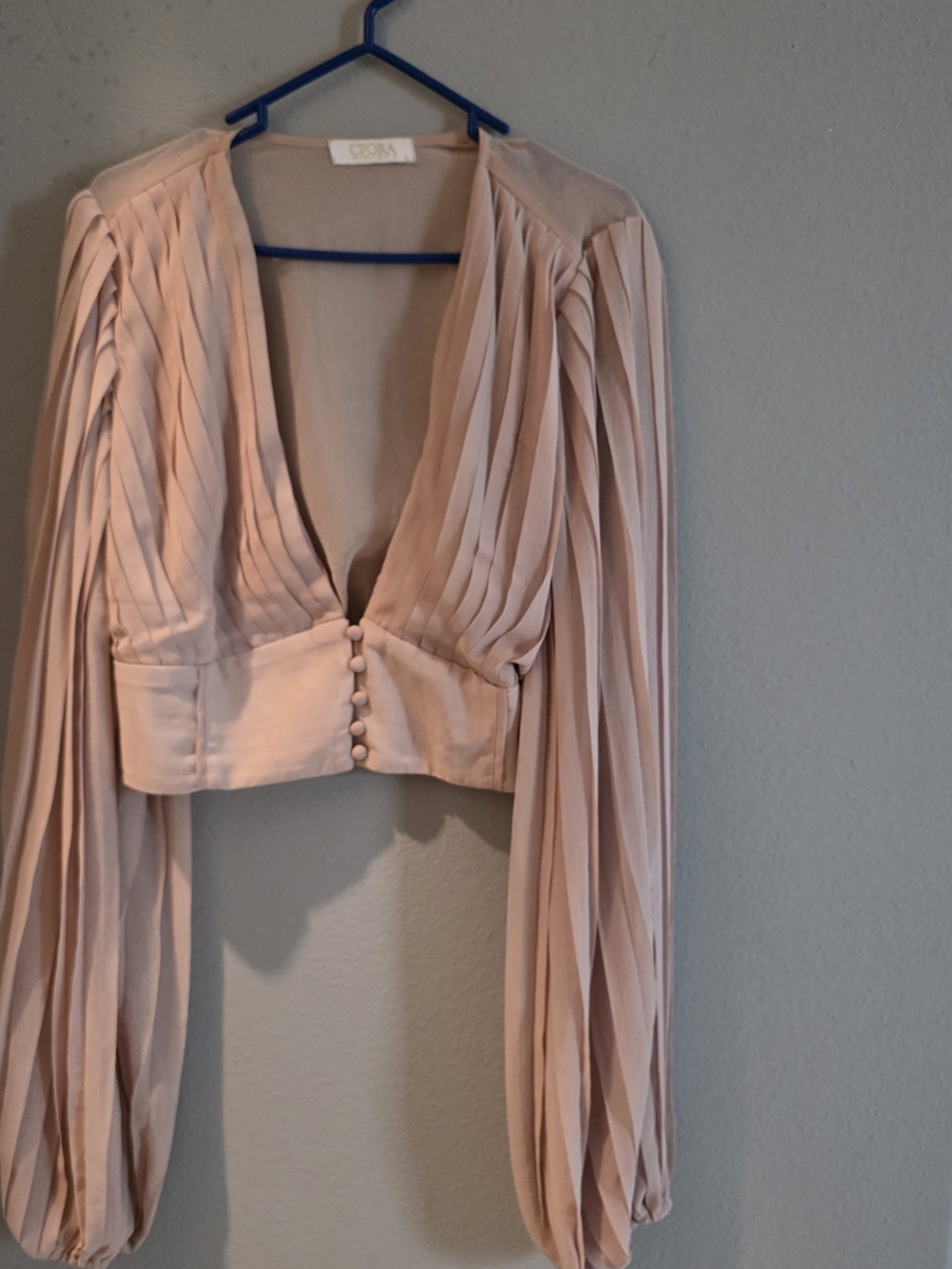 Pleated Blouson-Sleeve Crop Top in Blush -